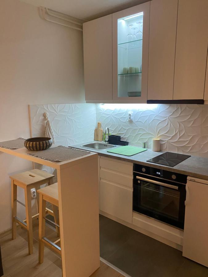 Smart Lux Apartment Belgrade